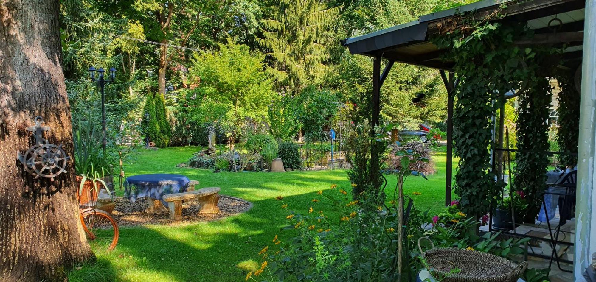 Ferienhaus Schatz Siedlung Schonwalde 外观 照片